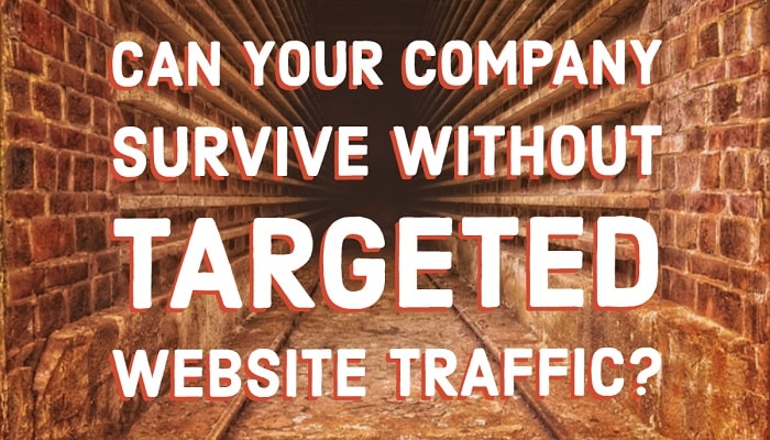 Can Your Company Survive Without Targeted Website Traffic